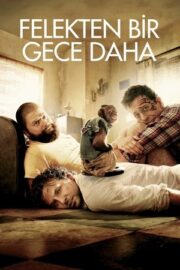Felekten Bir Gece Daha | The Hangover Part II | 2011